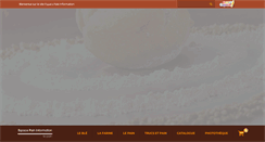Desktop Screenshot of espace-pain-info.com
